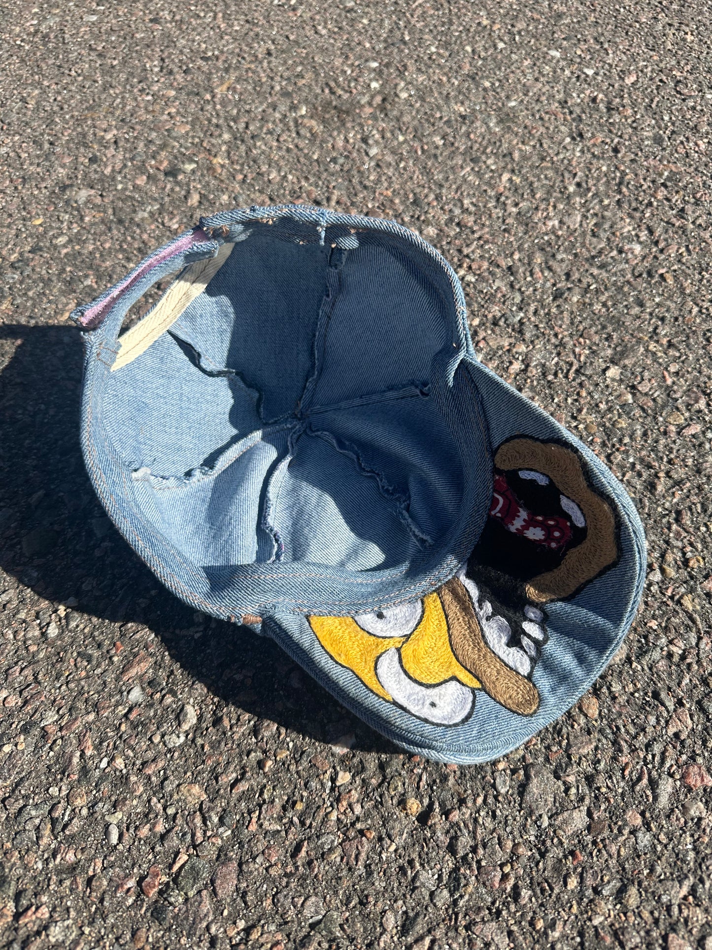 Double brim homer hat